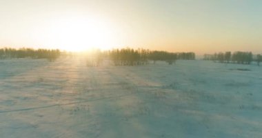 Arktik çayırlı soğuk kış manzarası, karla kaplı ağaçlar ve ufukta sabah güneşleri..