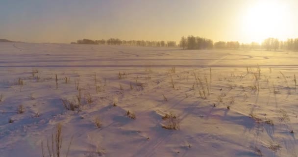 Flygdrönare syn på kallt vinterlandskap med arktiska fält, träd täckta med frost snö och morgonsol strålar över horisonten. — Stockvideo