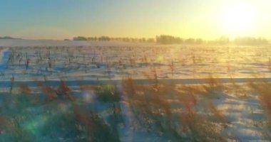 Arktik çayırlı soğuk kış manzarası, karla kaplı ağaçlar ve ufukta sabah güneşleri..