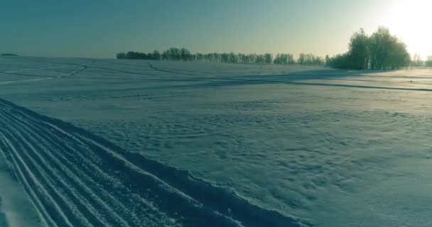 Vista aérea de drones del frío paisaje invernal con campo ártico, árboles cubiertos de nieve helada y rayos de sol matutinos sobre el horizonte. — Vídeos de Stock