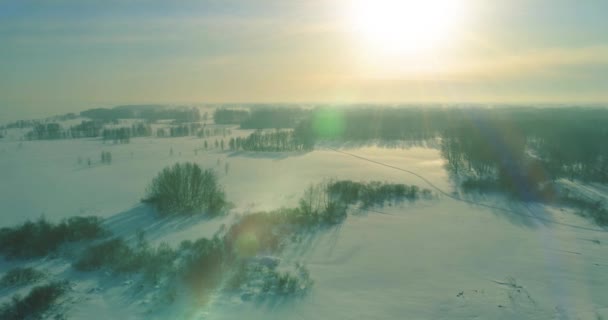 Vista aérea da paisagem fria inverno campo ártico, árvores cobertas com neve geada, rio de gelo e raios de sol sobre o horizonte. Tempo extremo de baixa temperatura. — Vídeo de Stock