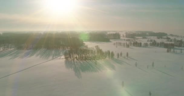 Vista aérea da paisagem fria inverno campo ártico, árvores cobertas com neve geada, rio de gelo e raios de sol sobre o horizonte. Tempo extremo de baixa temperatura. — Vídeo de Stock