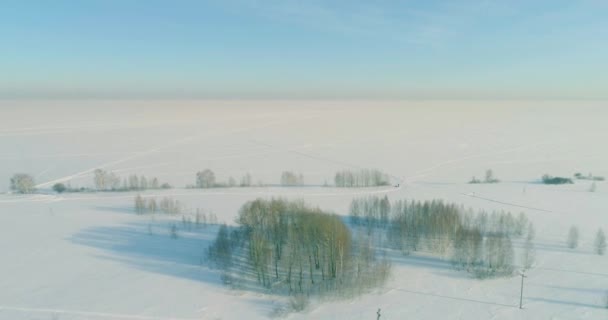 Vista aerea del freddo paesaggio invernale campo artico, alberi coperti di neve gelata, fiume ghiaccio e raggi solari all'orizzonte. Clima estremo a bassa temperatura. — Video Stock