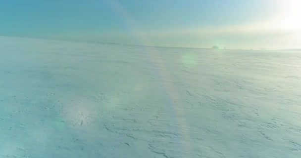Letecký pohled na studenou zimní krajinu arktického pole, stromy pokryté mrazivým sněhem, ledovou řekou a slunečními paprsky nad obzorem. Extrémní nízké teploty počasí. — Stock video