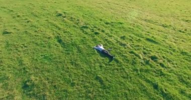 Yeşil çimlerin üzerinde sarı kırsal alanda not defteri olan bir adamın etrafında alçak yörünge uçuşları..