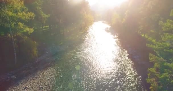 Låg höjd flygning över färska snabba berg flod med stenar på solig sommarmorgon. — Stockvideo