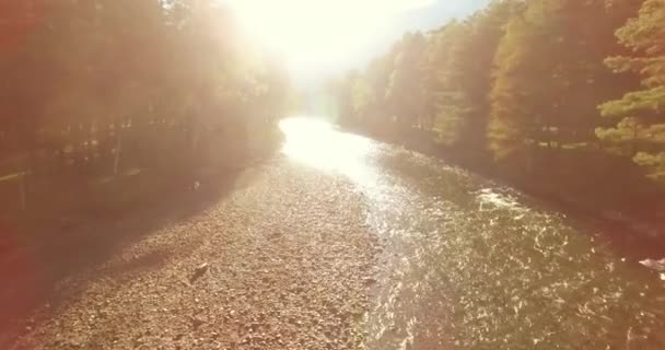 Laaggelegen vlucht over verse snelle bergrivier met rotsen op zonnige zomerochtend. — Stockvideo