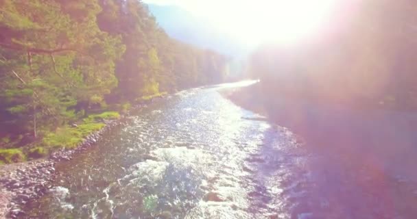 Vol à basse altitude au-dessus d'une rivière de montagne fraîche et rapide avec des rochers au soleil matin d'été. — Video