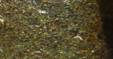 Güneşli yaz sabahında temiz ve taze bir dağ nehri üzerinde uçuşun ortasındayız. Üst görünüm ve yatay hareket