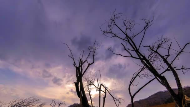 Lapso de tempo da árvore da morte e grama amarela seca na paisagem montanhosa com nuvens e raios de sol. Movimento deslizante horizontal — Vídeo de Stock