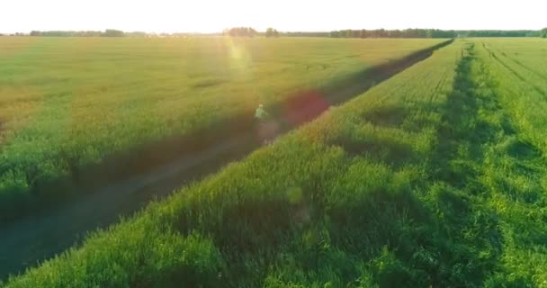 Vista aérea sobre el niño, que monta en bicicleta a través de un campo de hierba de trigo en el viejo camino rural. Luz solar y rayos. — Vídeos de Stock