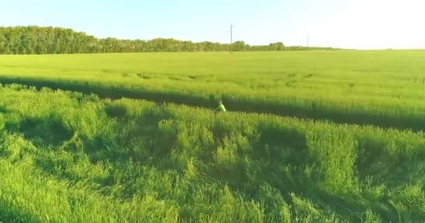 Vista aérea sobre o menino, que monta uma bicicleta através de um campo de grama de trigo na antiga estrada rural. Luz solar e vigas. — Vídeo de Stock