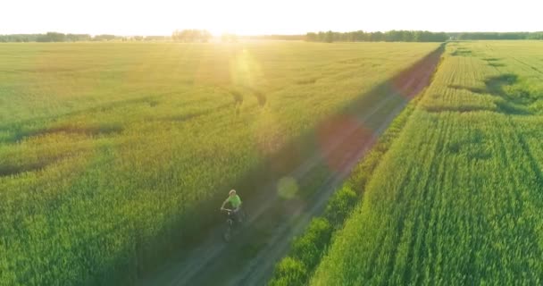 Widok z lotu ptaka na młodego chłopca, który jeździ na rowerze przez pole trawy pszennej na starej wiejskiej drodze. Światło słoneczne i promienie. — Wideo stockowe