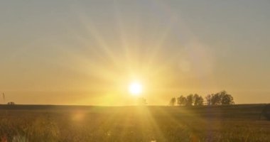 Yaz günbatımında düz tepe çayır zaman çizelgesi. Vahşi doğa ve kırsal çimler. Güneş ışınları ve ağaçlar. Motorlu doli kaydırıcı