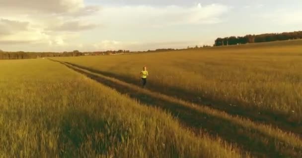 Sportliches Kind läuft durch ein grünes Weizenfeld. Abendliche Sportübungen auf der Wiese. Eine glückliche Kindheit ist eine gesunde Lebensweise. Radiale Bewegung, Sonnenstrahlen und Gras. — Stockvideo