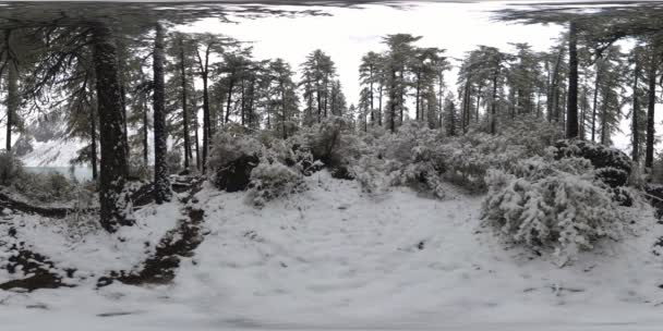 Jezioro górskie 360 vr w okresie zimowym. Dzika przyroda i Mount Valley. Zielony las sosen i szybkie chmury na niebie. — Wideo stockowe