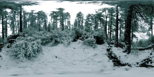 Mountain lake 360 vr at the winter time. Wild nature and mount valley. Green forest of pine trees and fast clouds on sky. — Stock Video