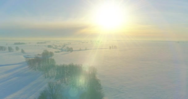 Luftaufnahme der kalten Winterlandschaft arktisches Feld, Bäume mit Frost Schnee, Eis Fluss und Sonnenstrahlen über Horizont bedeckt. Extrem niedrige Temperaturen. — Stockvideo