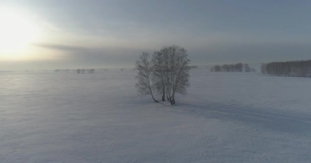 Vista aérea del frío paisaje invernal del campo ártico, árboles cubiertos de nieve helada, ríos de hielo y rayos de sol sobre el horizonte. Clima de baja temperatura extrema. — Vídeos de Stock