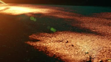 Asfalt yolda koşan sporcu. Kırsal şehir parkı. Yeşil ağaç ormanı ve ufukta güneş ışığı.