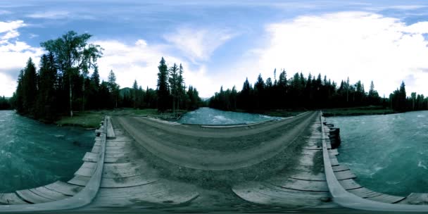 360 VR virtual reality of a wild forest. Pine forest, small fast, cold mountain river. National park. — Stock Video