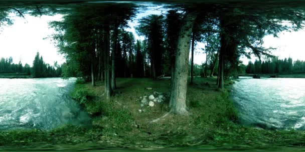360 VR virtual reality van een wild bos. Dennenbos, kleine snelle, koude bergrivier. Nationaal park. — Stockvideo