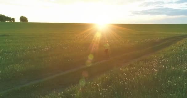 A criança desportiva atravessa um campo de trigo verde. Exercícios de treino desportivo nocturno no prado rural. Uma infância feliz é um modo de vida saudável. Movimento radial, raios de sol e grama. — Vídeo de Stock