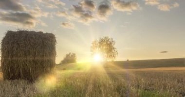 Yaz günbatımında düz tepe çayır zaman çizelgesi. Vahşi doğa ve çim tarlasında kırsal samanlıklar. Güneş ışınları ve yeşil ağaçlar. Motorlu doli kaydırıcı