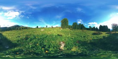 Yeşil dağ ormanlarının UHD 4K 360 VR zaman çizelgesi. Güneş ışığı ve gölge, çimen ve çam ağaçları.