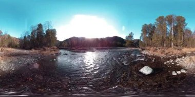 Vahşi dağların, çam ormanlarının ve nehir akışlarının 360 VR sanal gerçekliği. Ulusal park, çayır ve güneş ışınları.