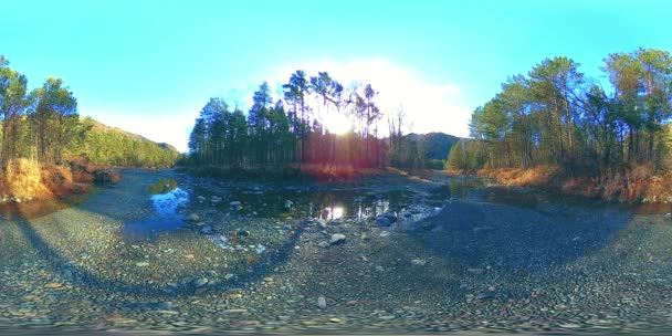 360 VR realidad virtual de montañas salvajes, bosques de pinos y ríos fluye. Parque Nacional, prados y rayos de sol. — Vídeo de stock