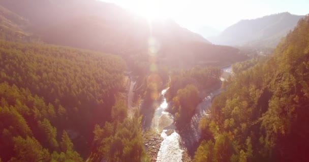 Vol en vol au-dessus d'une rivière de montagne fraîche et d'un pré au matin ensoleillé d'été. Chemin de terre rural en dessous. — Video