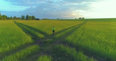 Sportif çocuk yeşil buğday tarlasında koşuyor. Kırsal çayırlarda akşam sporu alıştırmaları. Mutlu bir çocukluk sağlıklı bir yaşam biçimidir. Radikal hareket, güneş ışınları ve ot.