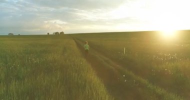 Sportif çocuk yaz yağmurunda yeşil buğday tarlasında koşar. Kırsal çayırlarda akşam sporu alıştırmaları. Mutlu bir çocukluk sağlıklı bir yaşam biçimidir. Radikal hareket, güneş ışınları ve ot.