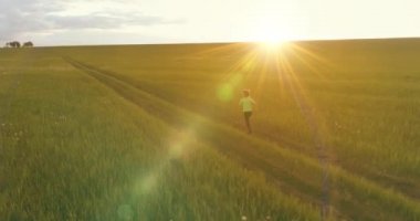 Sportif çocuk yeşil buğday tarlasında koşuyor. Kırsal çayırlarda akşam sporu alıştırmaları. Mutlu bir çocukluk sağlıklı bir yaşam biçimidir. Radikal hareket, güneş ışınları ve ot.