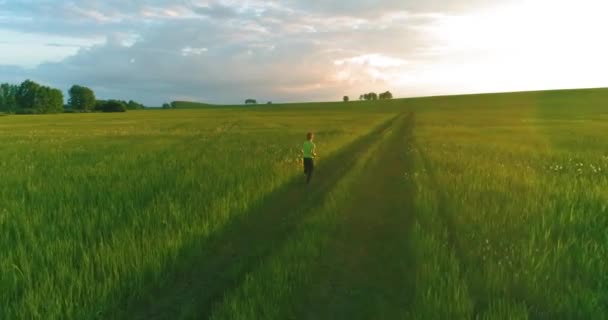 Το παιδί του αθλητισμού τρέχει μέσα από ένα χωράφι με πράσινο σιτάρι. Βραδινές αθλητικές ασκήσεις στο αγροτικό λιβάδι. Μια ευτυχισμένη παιδική ηλικία είναι ένας υγιής τρόπος ζωής. Ακτινική κίνηση, ακτίνες του ήλιου και γρασίδι. — Αρχείο Βίντεο