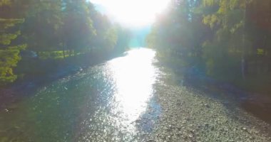 Güneşli yaz sabahında kayalarla birlikte taze, hızlı dağ nehri üzerinde alçak irtifa uçuşu..