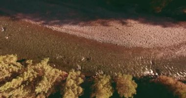 Güneşli yaz sabahında kayalarla birlikte taze, hızlı dağ nehri üzerinde alçak irtifa uçuşu..