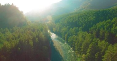 Güneşli yaz sabahında kayalarla birlikte taze, hızlı dağ nehri üzerinde alçak irtifa uçuşu..