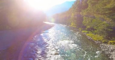 Güneşli yaz sabahında kayalarla birlikte taze, hızlı dağ nehri üzerinde alçak irtifa uçuşu..