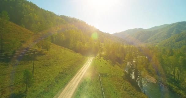 Vol à basse altitude au-dessus d'une rivière de montagne fraîche et rapide avec des rochers au soleil matin d'été. — Video