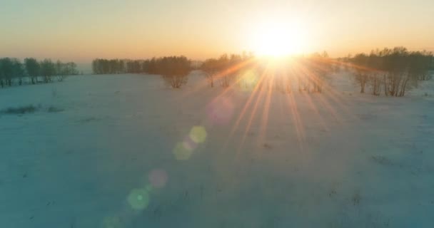 Drohnenaufnahme der kalten Winterlandschaft mit arktischem Feld, Bäumen mit Frostschnee und Morgensonnenstrahlen über dem Horizont. — Stockvideo