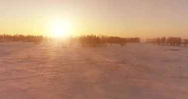 Arktik çayırlı soğuk kış manzarası, karla kaplı ağaçlar ve ufukta sabah güneşleri..