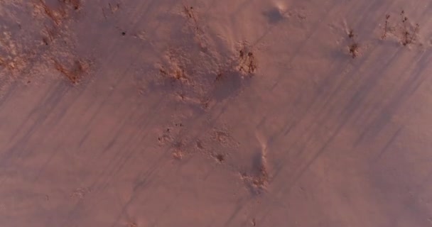 Vista aérea de drones del frío paisaje invernal con campo ártico, árboles cubiertos de nieve helada y rayos de sol matutinos sobre el horizonte. — Vídeos de Stock