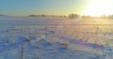 Arktik çayırlı soğuk kış manzarası, karla kaplı ağaçlar ve ufukta sabah güneşleri..