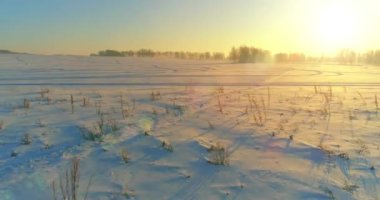 Arktik çayırlı soğuk kış manzarası, karla kaplı ağaçlar ve ufukta sabah güneşleri..