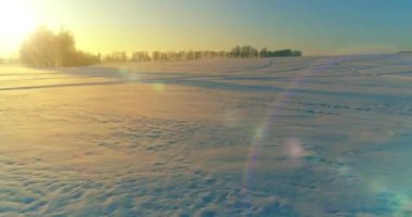 Arktik çayırlı soğuk kış manzarası, karla kaplı ağaçlar ve ufukta sabah güneşleri..