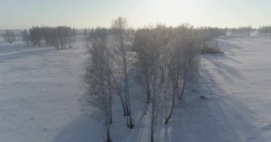 Arktik çayırlı soğuk kış manzarası, karla kaplı ağaçlar ve ufukta sabah güneşleri..