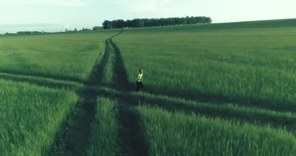 Спортивна дитина проходить через зелене пшеничне поле. Вечірні спортивні тренування на сільському лузі. Щасливе дитинство це здоровий спосіб життя. Радіальний рух, сонячні промені і трава . — стокове відео