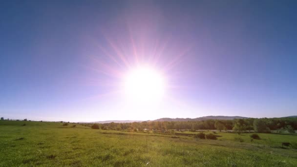 4K UHD gunung padang rumput tiLapse di musim panas. Awan, pohon, rumput hijau dan sinar matahari gerakan. — Stok Video